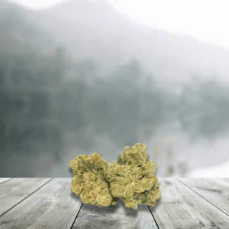 fleurs cbd amnesia haze