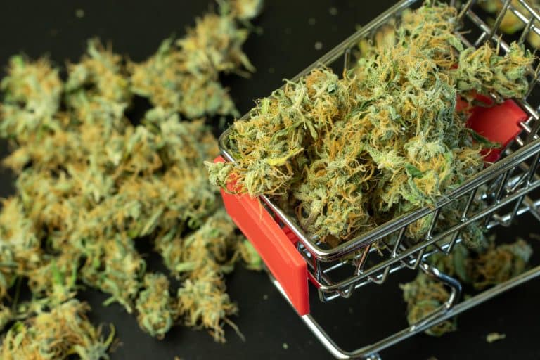 Croissance et Innovations dans l'Industrie du CBD : Tendances 2023