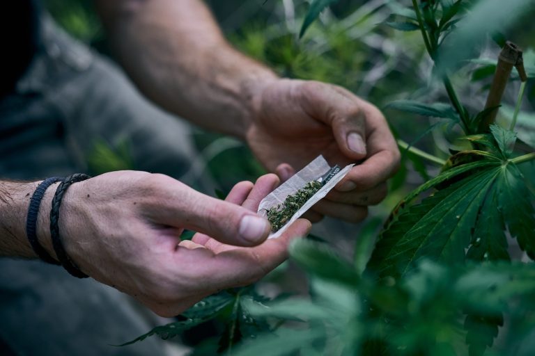 Brésil : la légalisation du chanvre médical ouvre la voie à une révolution thérapeutique et économique