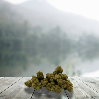 Fleurs CBD Small Cookie Kush 11%